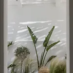 Arocaria Mykonos 4*